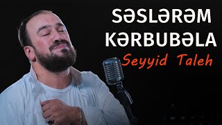 Seyyid Taleh  Səslərəm Kərbubəla  Ərbəin üçün Official Video [upl. by Aynatal]