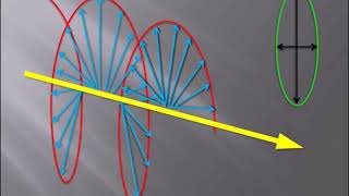 Polarization Of Light  spolarization  ppolarization  Concise Overview  Optical Physics [upl. by Rosen]