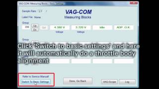 How to do throttle body alignment in Vagcom [upl. by Zoila919]