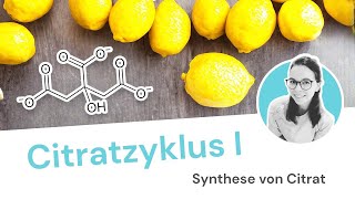 Citratzyklus  Schritt 1 von 6 Synthese von Citrat [upl. by Yennej]