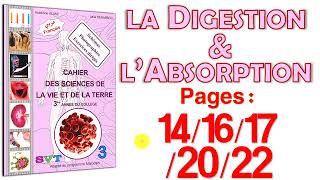 Azzedine Alami 3AC SVT Page 1416172022 🚩La digestion et labsorption [upl. by Ilsel]