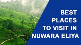 Best Places to Visit in Nuwara Eliya Sri Lanka [upl. by Willcox741]