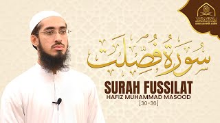 Surah Fussilat  Hafiz Muhammad Masood  Sheikh Saad Nomani Academy  سورة فصلت [upl. by Ykcaj]