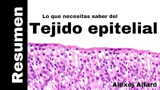 Tejido Epitelial Resumen Histología De Ross 7a Edición [upl. by Ellehcyt]