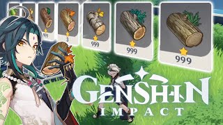 Best Places To Farm Wood Genshin Impact [upl. by Amling84]