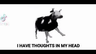 Polish Cow Song English Lyrics [upl. by Landbert]