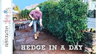 Planting an Instant Hedge [upl. by Sum]