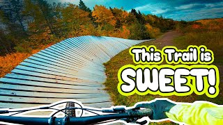 The BEST Bike Park in Eastern Canada [upl. by Hanley]