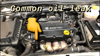 Vauxhall Astra 14 Engine Oil Leak COMMON PROBLEM [upl. by Asilet814]