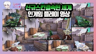 결속된 세계Tethered Realms 스킨 구매를 고민하시는 분들을 위한 인게임 플레이 영상 l 발로란트 츄라이 [upl. by Ahsinid78]