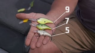 Berkley Frittisde CrankBait Reimagined Highly Effective Crankbait [upl. by Epuladaugairam897]