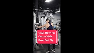 Cross Cable Rear Delt Fly  Under 60s Howto  Schaum Fitness [upl. by Tim424]