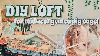 MAKING A LOFT FOR MY MIDWEST GUINEA PIG CAGE CampC DIY [upl. by Derby]