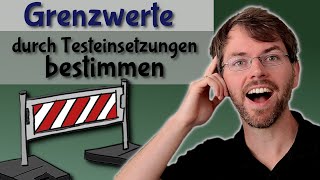 Grenzwerte bestimmen  Limes mit Testeinsetzungen  Taschenrechner  Verhalten gegen unendlich [upl. by Assyli819]