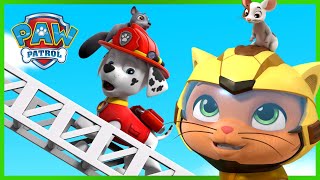 PAW Patrol and Cat Pack Save the Day and more  PAW Patrol  Cartoons for Kids Compilation [upl. by Kcirded727]