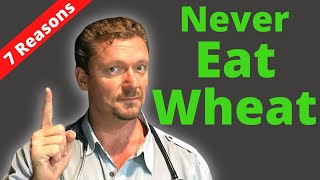 7 Reasons to NEVER Eat Wheat Again Not Just Gluten 2024 [upl. by Kellen225]