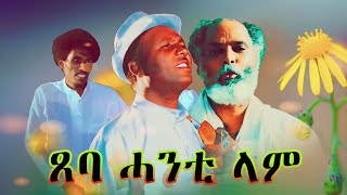 Abera Beyene  Tseba Hanti lam  Eritrean Tigrigna Music 2020 [upl. by Thunell]