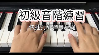 【快速学会弹钢琴】初级一度音阶练习快速打好弹琴基础调号，半音，大调音阶，升号，降号，8度 [upl. by Hachmann801]