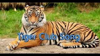 HAVEN HOLIDAYS tiger club song lyrics [upl. by Enixam]