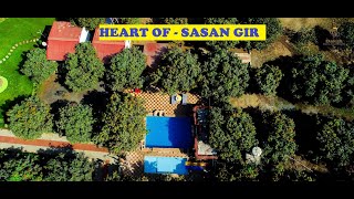 Daksh Resort amp Amusement Park  Heart OF Sasan Gir Forest [upl. by Rahcir749]