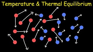 Temperature amp Thermal Equilibrium  Physics Tutorial [upl. by Namya]