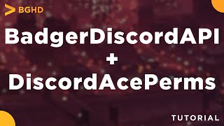 DiscordAcePerms  BadgerDiscordAPI  FiveM Resource InstallOverview [upl. by Yesnyl417]