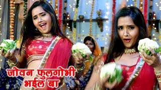 मनोज टाइगर ने ससुर से रख दी डिमांड  Kajal Raghwani  Saas Numbri Bahu Dus Numbari Movie Clip [upl. by Rozamond]