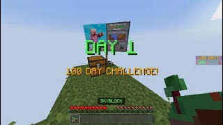 Skyblock 100 days  Day 12  Getting started [upl. by Barnabas]