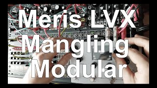 Meris LVX  Make Noise Shared System  Processing and Mangling a Live Modular Jam [upl. by Coumas]