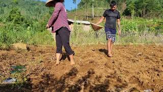 Husband and wife corn planting session  rural life [upl. by Yablon]