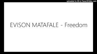 EVISON MATAFALE  Freedom [upl. by Harberd987]