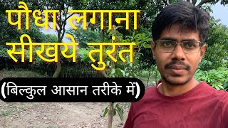 पौधे को कैसे लगाएं  Paudha Lagane Ka Sahi Tarika Kaifi Plantation [upl. by Carrillo213]