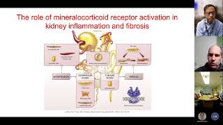 Mineralocorticoid Receptor Antagonism in Proteinuric Kidney Disease with Dr J Matt Luther [upl. by Asatan]