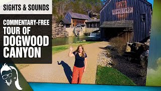 Dogwood Canyon Branson Missouri  Commentary Free Tour  Sights and Sounds [upl. by Atinram]