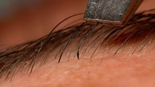 YouTuber Captures Eyebrow Waxing In SlowMotion [upl. by Crichton]