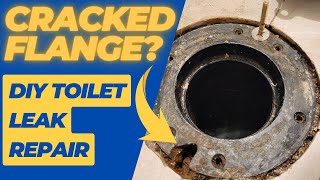 How to Repair a Leaking Toilet and Broken Flange  DIY Guide with Oatey Replacement Ring [upl. by Ilyk291]