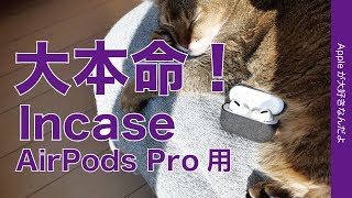 大本命登場！Incase AirPods Pro用 Woolenex・もはや定番ともいえるエアポッズケース￥3800 [upl. by Ajuna]