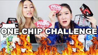 ONE CHIP CHALLENGE 2020 SHE BLED 😱 [upl. by Mallissa]