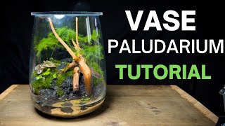 How To Make a Paludarium From a Vase Step by Step Guide [upl. by Nylecaj849]