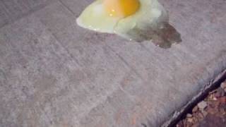 Frying an egg on the sidewalk [upl. by Delmar]