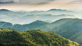 Vier Jahreszeiten im Nationalpark Schwarzwald [upl. by Marsh613]