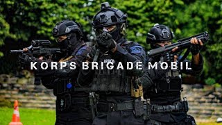 Brimob 2021  Indonesian Special Police [upl. by Murry]