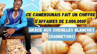 ce camerounais fait un chiffre daffaire de deux million grâce aux chenille blanche hannetons [upl. by Sirrep]