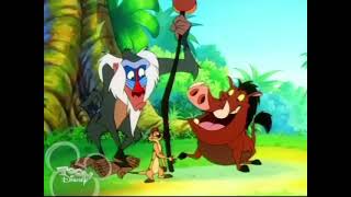 Timon amp Pumbaa  Never Everglades Full Episodes [upl. by Tivad712]