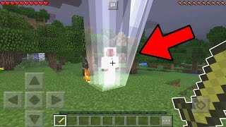 Is ENTITY 303 Real in Minecraft Pocket Edition [upl. by Mcfarland817]