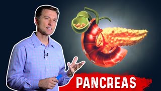 The Function Of Pancreas amp Pancreatitis – Dr Berg on Pancreatic Insufficiency [upl. by Grimes]