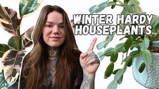 10 HARDY HOUSEPLANTS That Always Survive Winter [upl. by Noam]