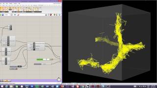 Physarum polycephalum simulation 6 [upl. by Bedelia]