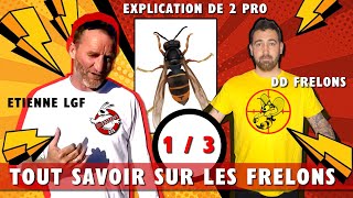 13 Tout SAVOIR sur le FRELON ASIATIQUE avec 2 PRO  Etienne LGF [upl. by Amaj]