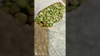 pigeon peas for cooking dinner MercyNguku The World Trailler 🌎🌎 [upl. by Nobell125]